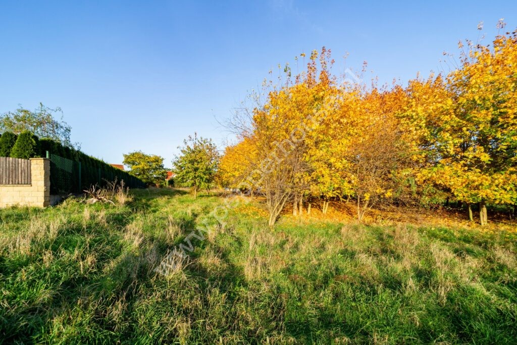 , pomorskie, Straszyn, Konwaliowa - listing photo no. 3