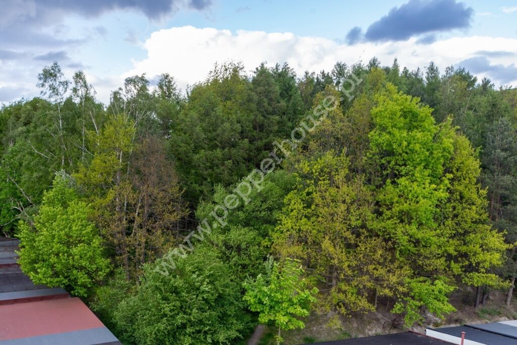 , Gdynia, Obłuże, Stolarska - listing photo no. 1