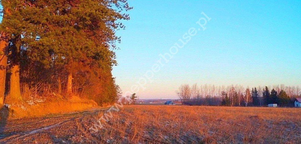 Działka na sprzedaż, Gdańsk, Kokoszki, Grzybowa - zdjęcie ofertowe nr 1