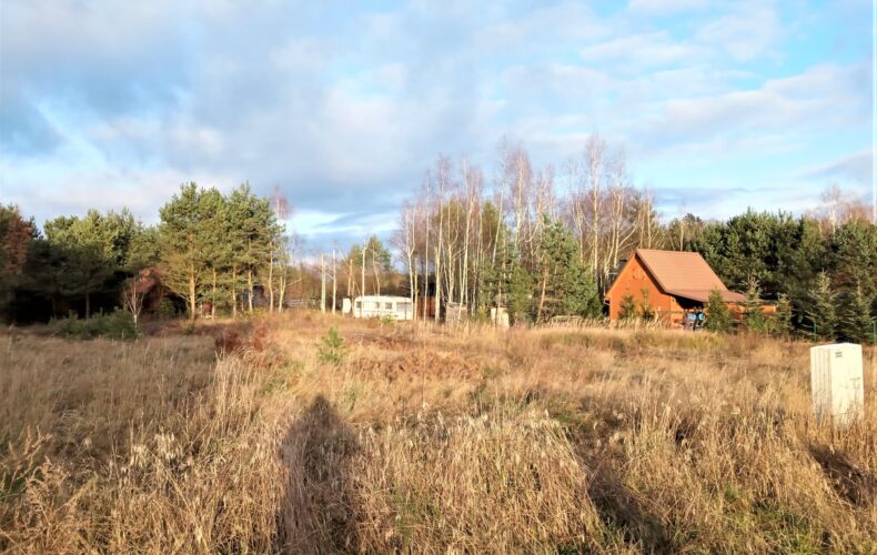 , pomorskie, Wycinki