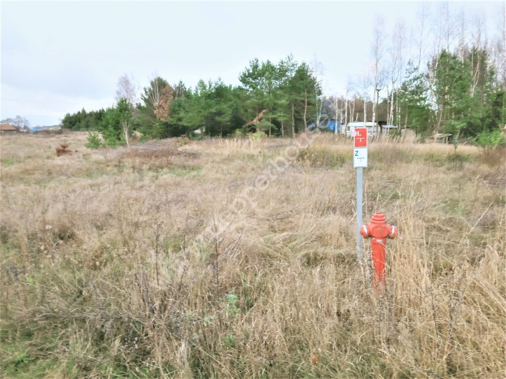 , pomorskie, Wycinki - listing photo no. 3