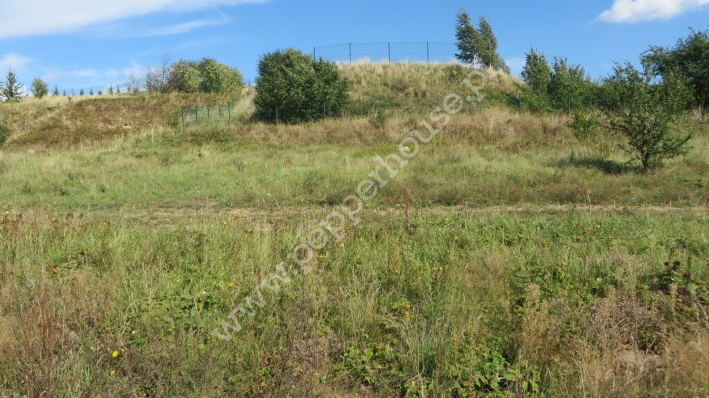 , pomorskie, Gniewowo, Jabłoniowa - listing photo no. 1
