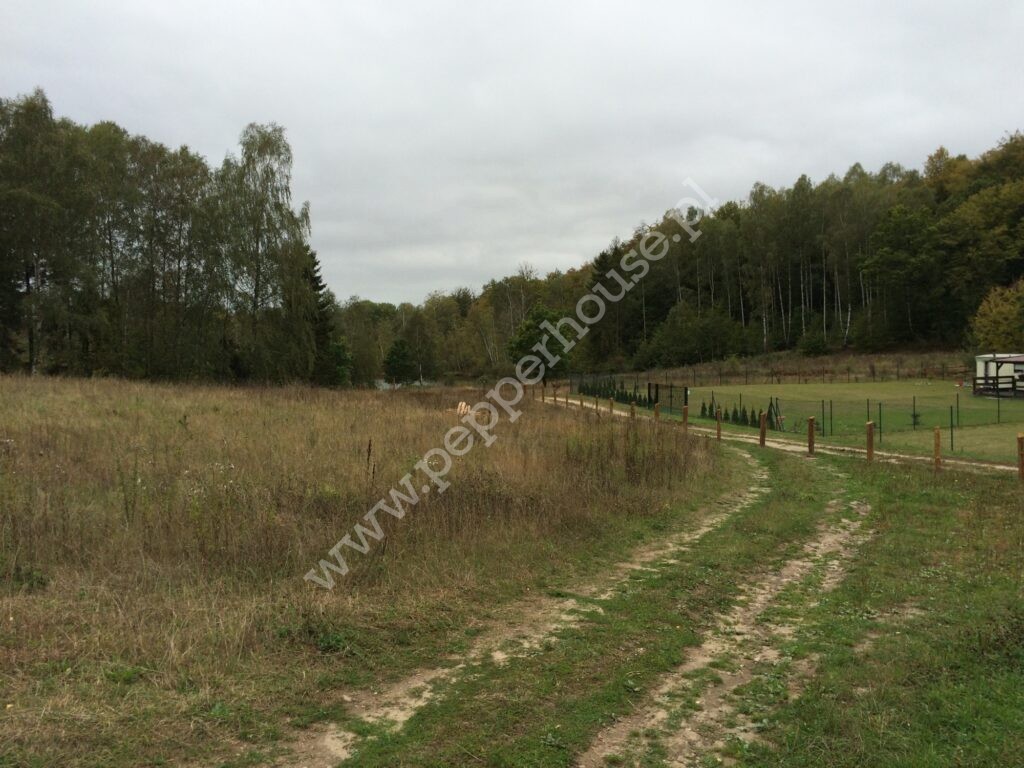 , pomorskie, Sobącz, Bukowe Pole - listing photo no. 2