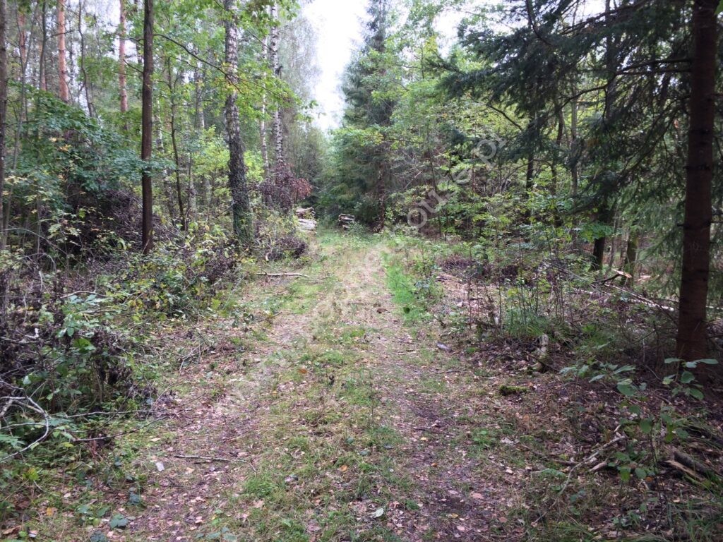 , pomorskie, Sobącz, Bukowe Pole - listing photo no. 5
