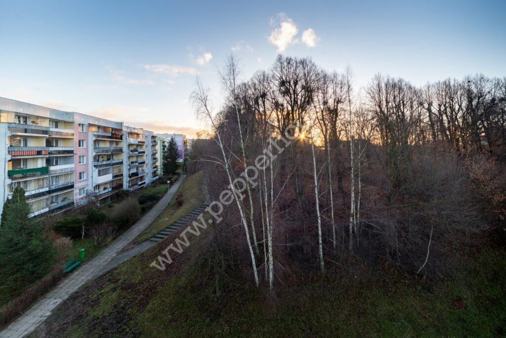 , Gdańsk, Morena, Związku Jaszczurczego - listing photo no. 12