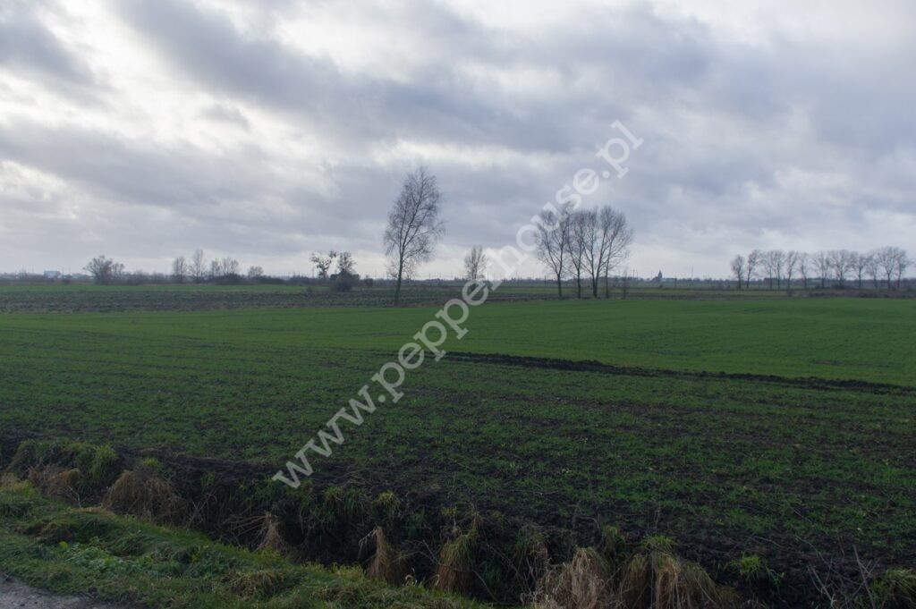 , pomorskie, Miłobądz - listing photo no. 2