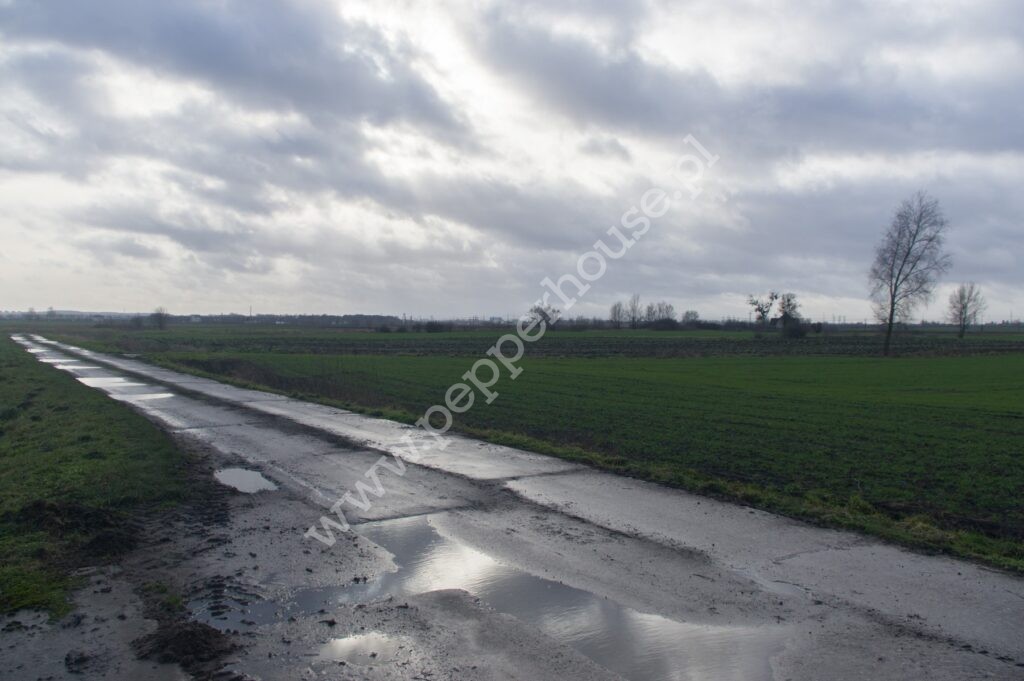 , pomorskie, Miłobądz - listing photo no. 3