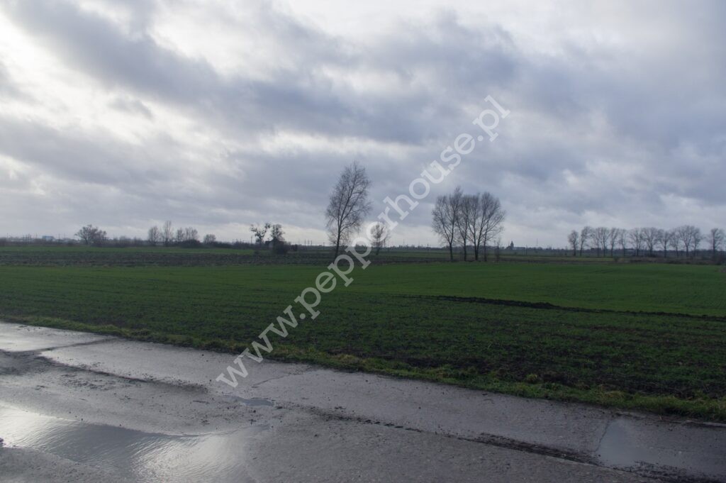 , pomorskie, Miłobądz - listing photo no. 4
