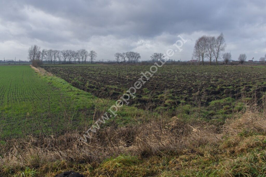 , pomorskie, Miłobądz - listing photo no. 5