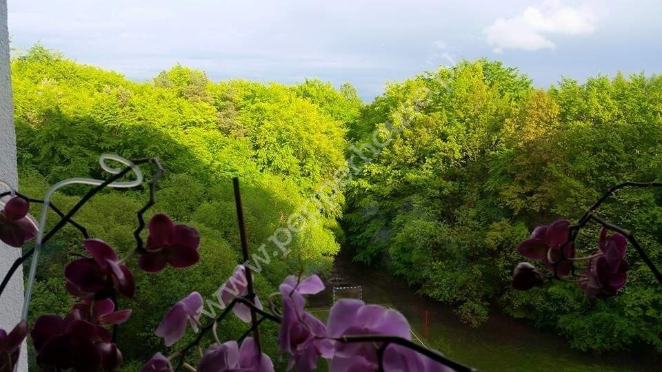 Mieszkanie na sprzedaż, Gdynia, Mały Kack, Strzelców - zdjęcie ofertowe nr 15