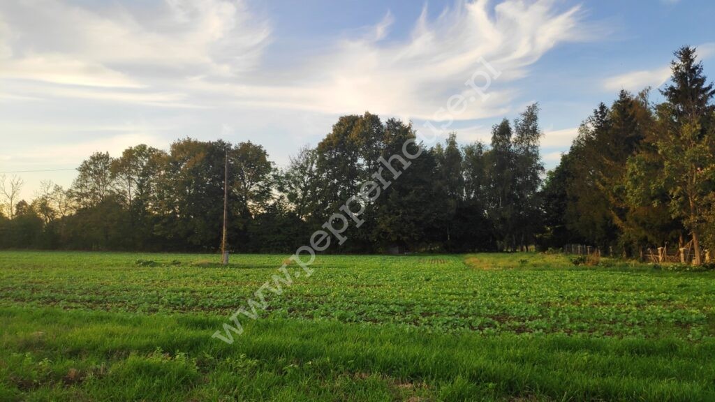 , pomorskie, Cedry Małe, Długa - listing photo no. 5