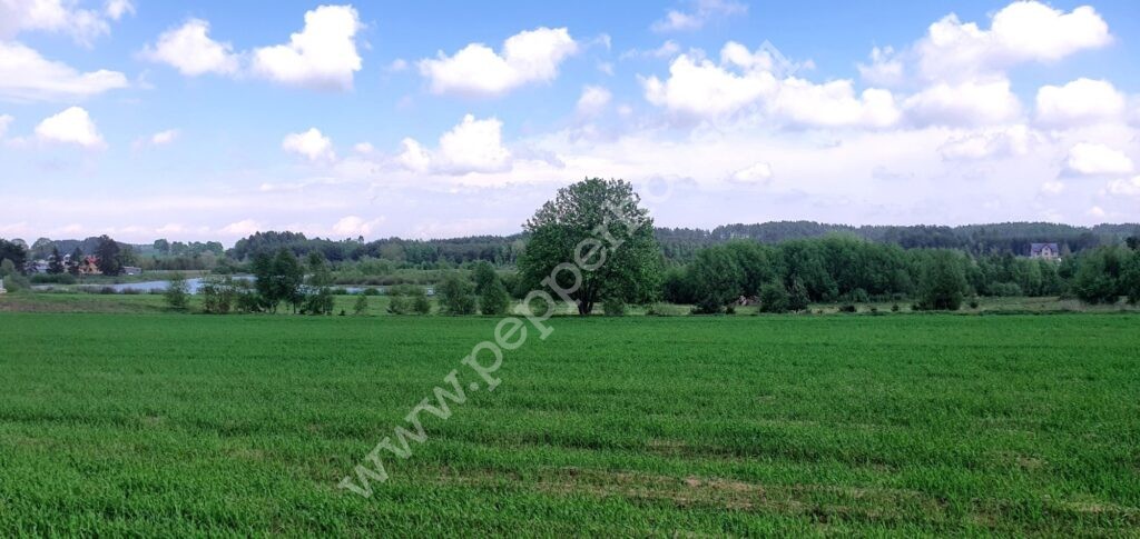Działka na sprzedaż, pomorskie, Bojano, Żeliwna - zdjęcie ofertowe nr 2