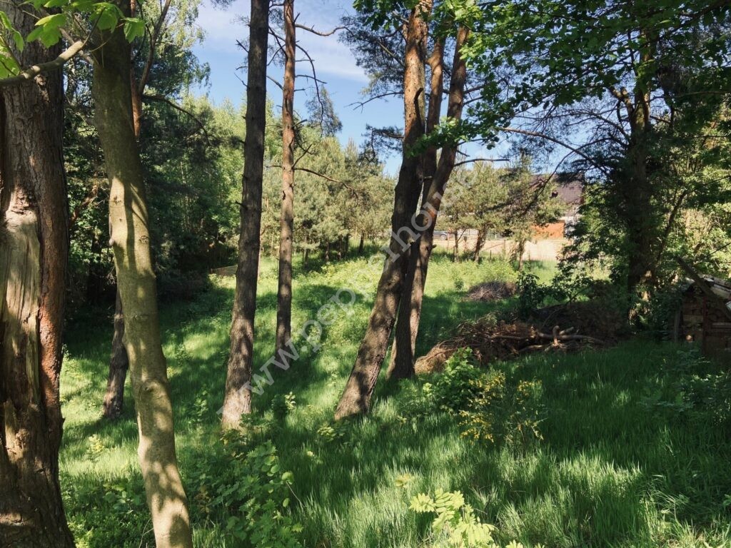, pomorskie, Zbychowo, Okrężna - listing photo no. 3