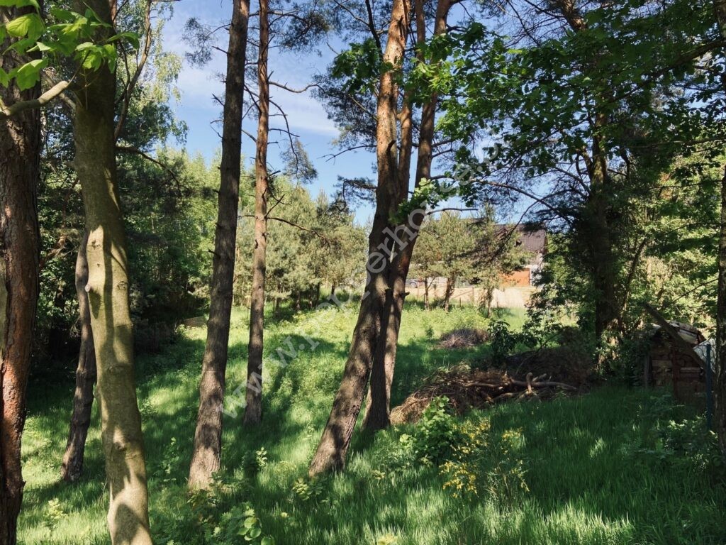 , pomorskie, Zbychowo, Okrężna - listing photo no. 4