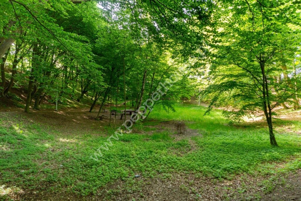 , pomorskie, Tuchom, Zaciszna - listing photo no. 31