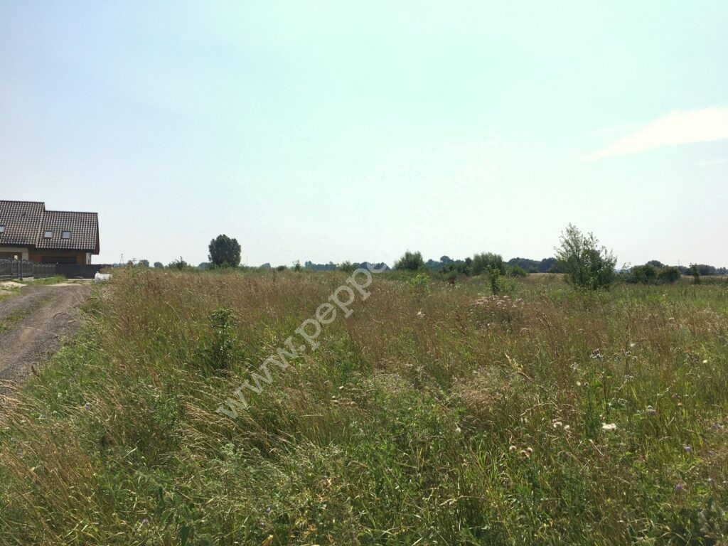 Działka na sprzedaż, pomorskie, Suchy Dąb, Polna - zdjęcie ofertowe nr 3