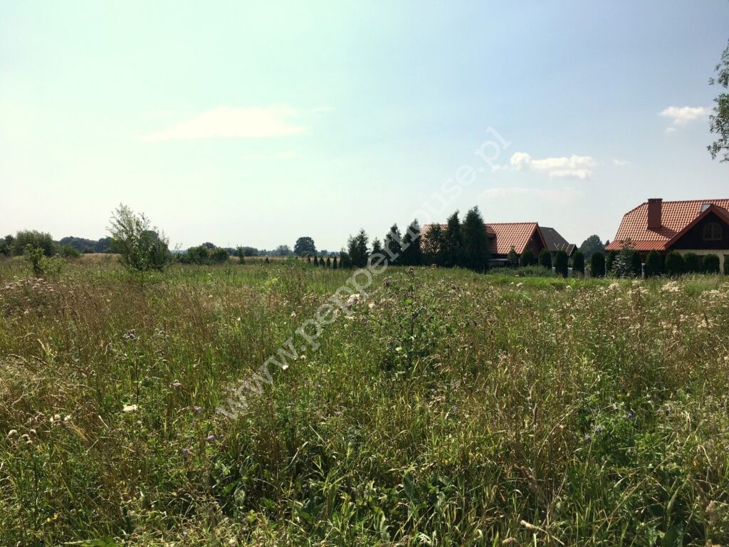 Działka na sprzedaż, pomorskie, Suchy Dąb, Polna - zdjęcie ofertowe nr 4
