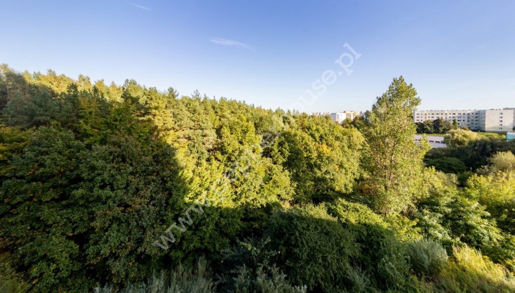 , Gdynia, Karwiny, Stanisławy Fleszarowej-Muskat - listing photo no. 17