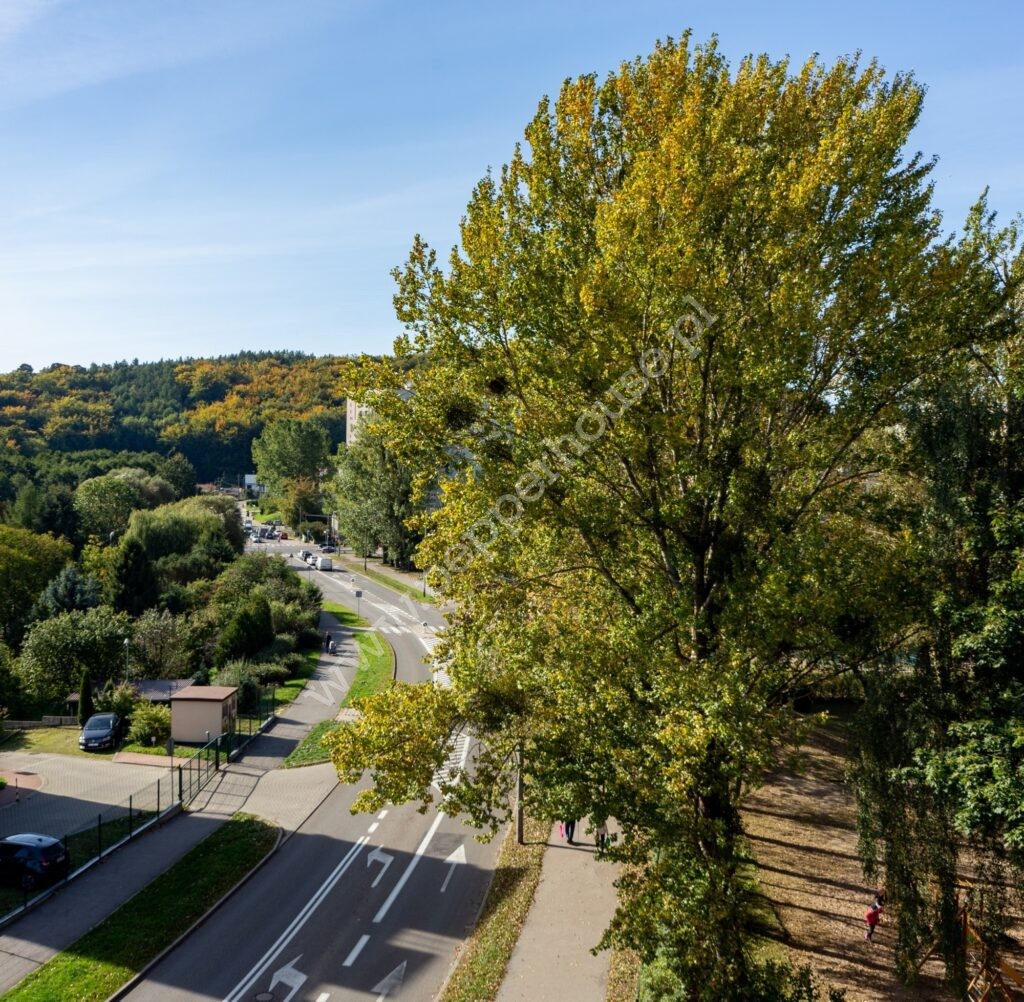 Mieszkanie na sprzedaż, Gdynia, Chylonia, Wiejska - zdjęcie ofertowe nr 9