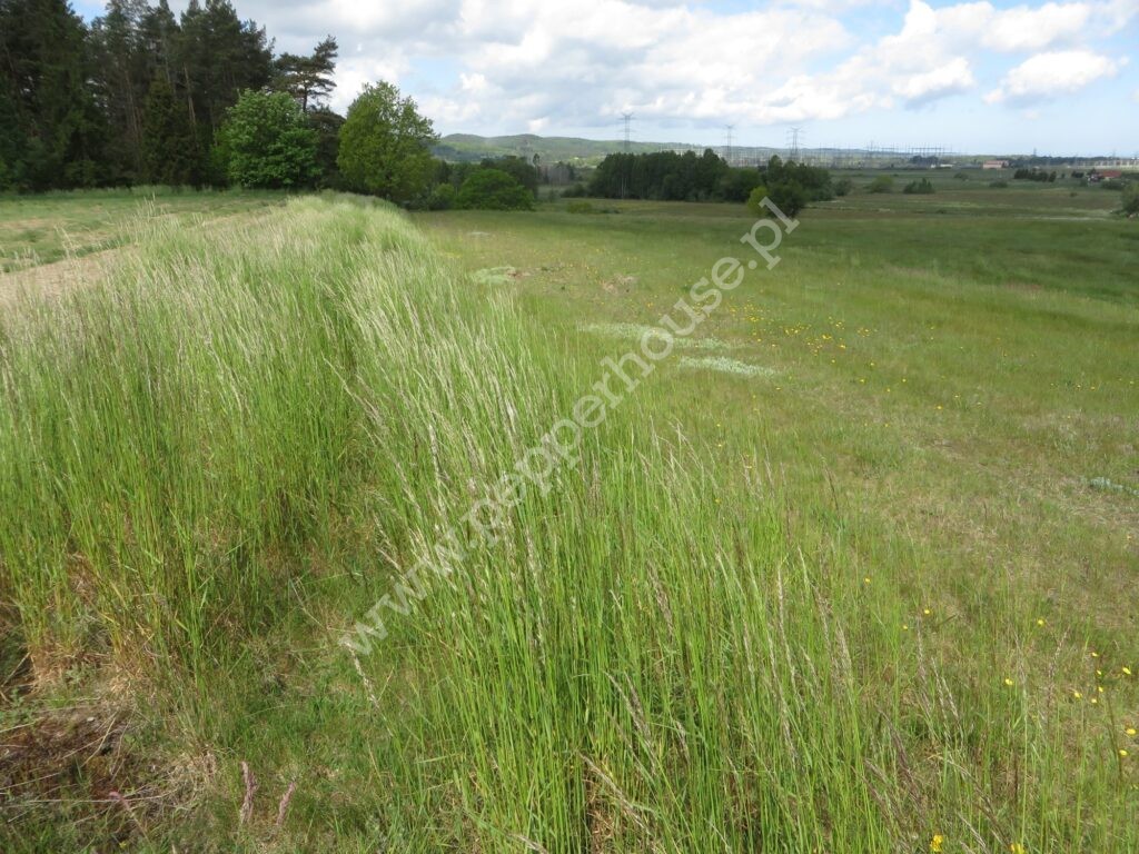 Działka na sprzedaż, pomorskie, Tyłowo, Wejherowska - zdjęcie ofertowe nr 6