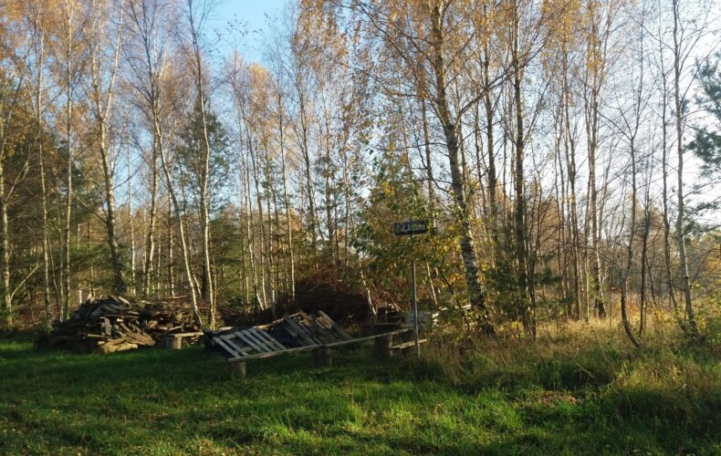 Działka na sprzedaż, pomorskie, Łężyce, Jodłowa