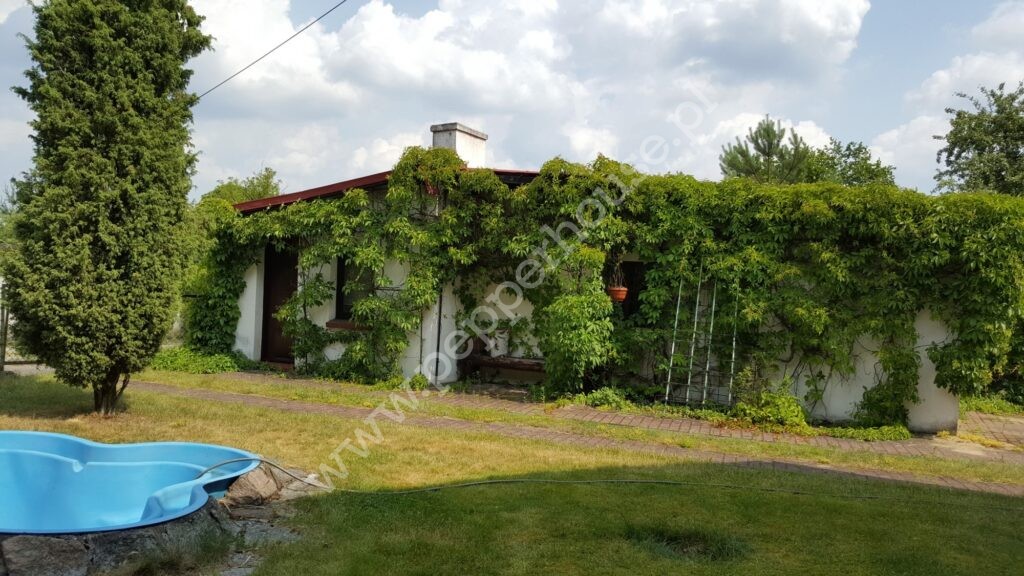 , pomorskie, Osieczna, ks. Franciszka Czaplińskiego - listing photo no. 8
