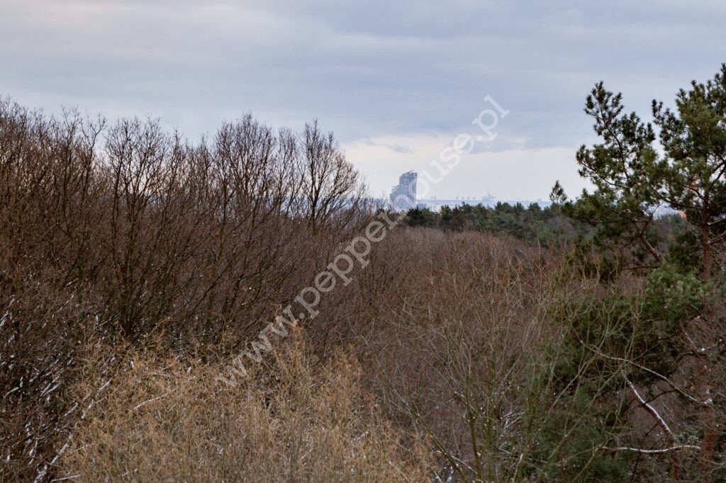 , Gdynia, Pogórze, gen. Dywizji Franciszka Kleeberga - listing photo no. 13