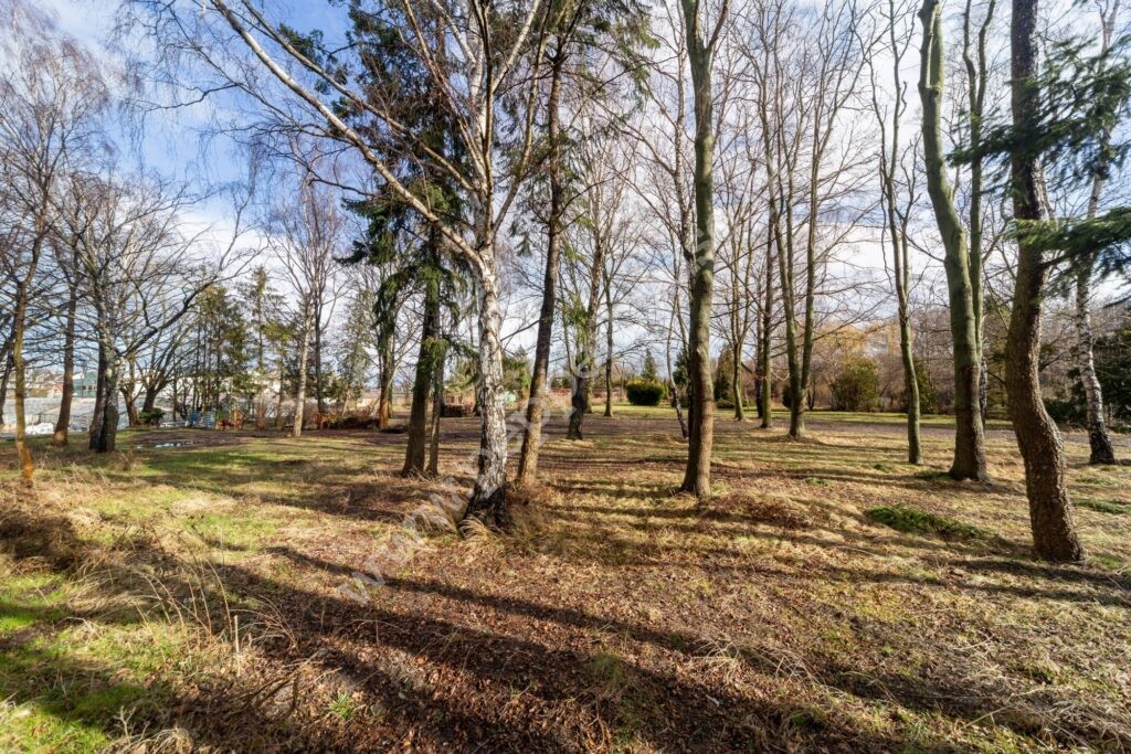 , pomorskie, Pruszcz Gdański, Karola Olszewskiego - listing photo no. 16