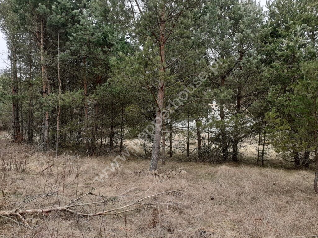 , pomorskie, Domatówko - listing photo no. 3