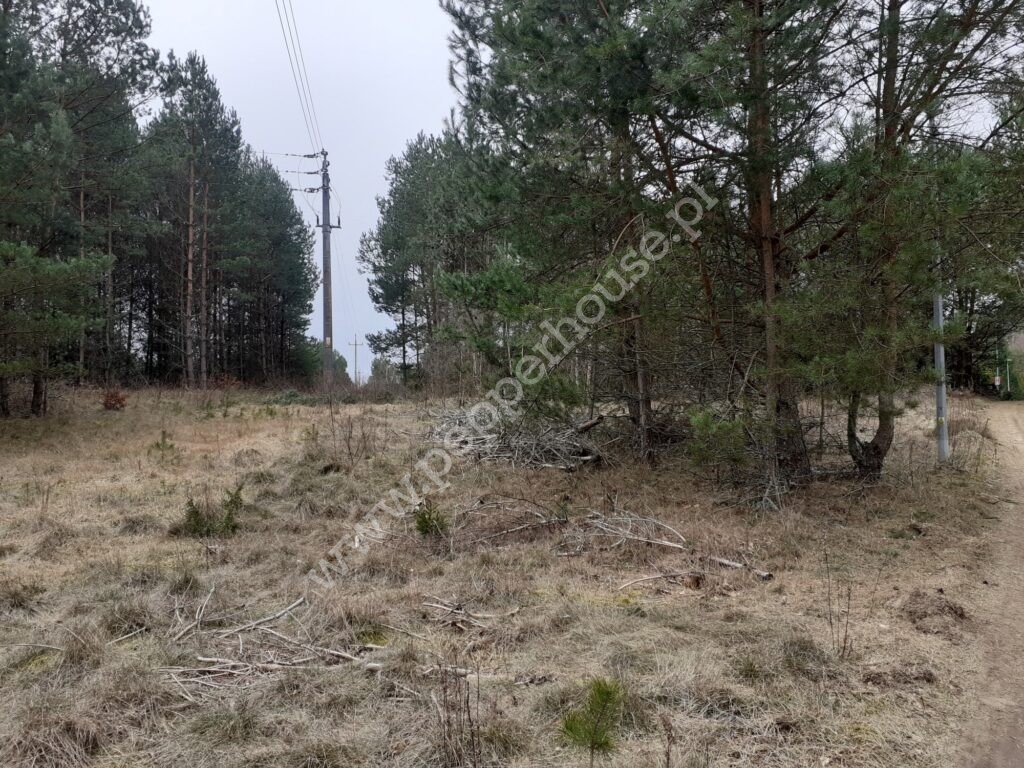 , pomorskie, Domatówko - listing photo no. 6