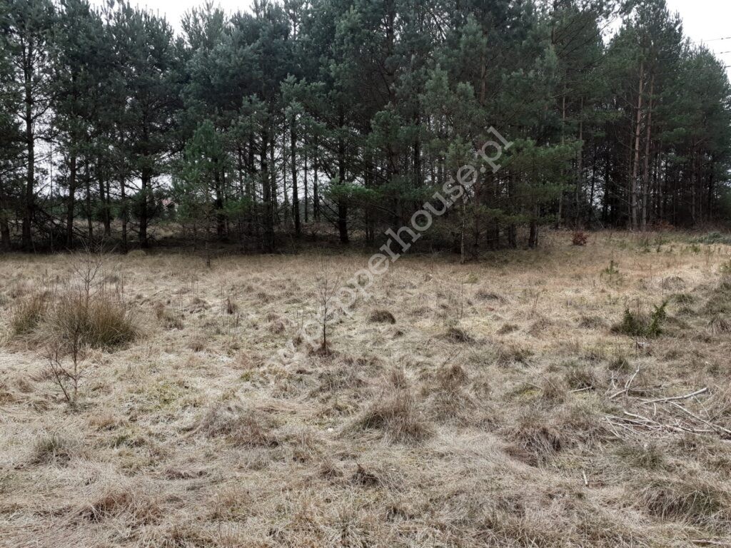 , pomorskie, Domatówko - listing photo no. 5