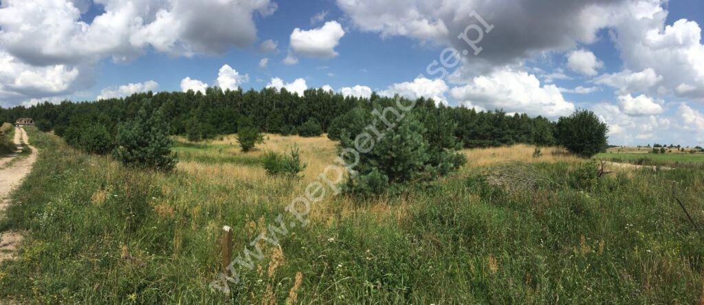, pomorskie, Obozin - listing photo no. 1