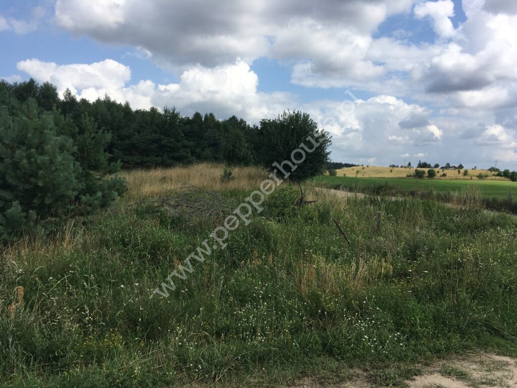 , pomorskie, Obozin - listing photo no. 2