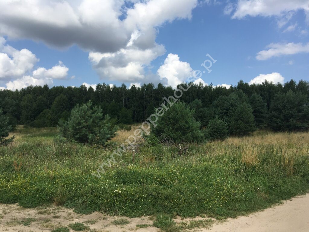 , pomorskie, Obozin - listing photo no. 3