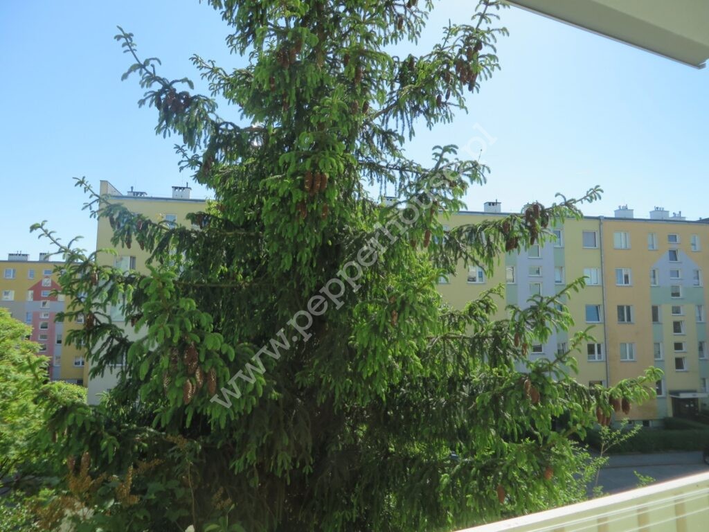 Mieszkanie na sprzedaż, Gdynia, Witomino, Graniczna - zdjęcie ofertowe nr 14
