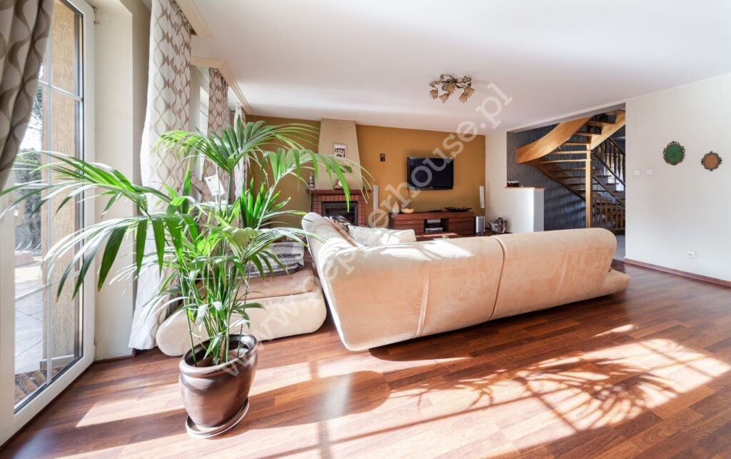 , pomorskie, Rumia - listing photo no. 3