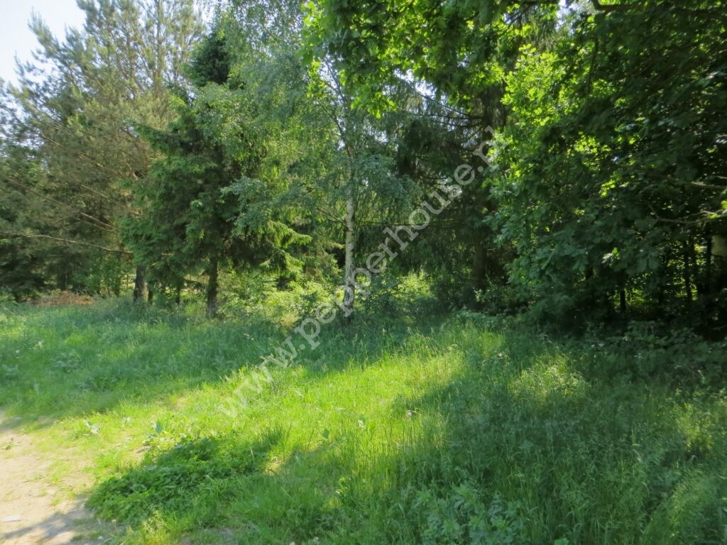 Działka na sprzedaż, pomorskie, Tuchom, Bolesława Prusa - zdjęcie ofertowe nr 1
