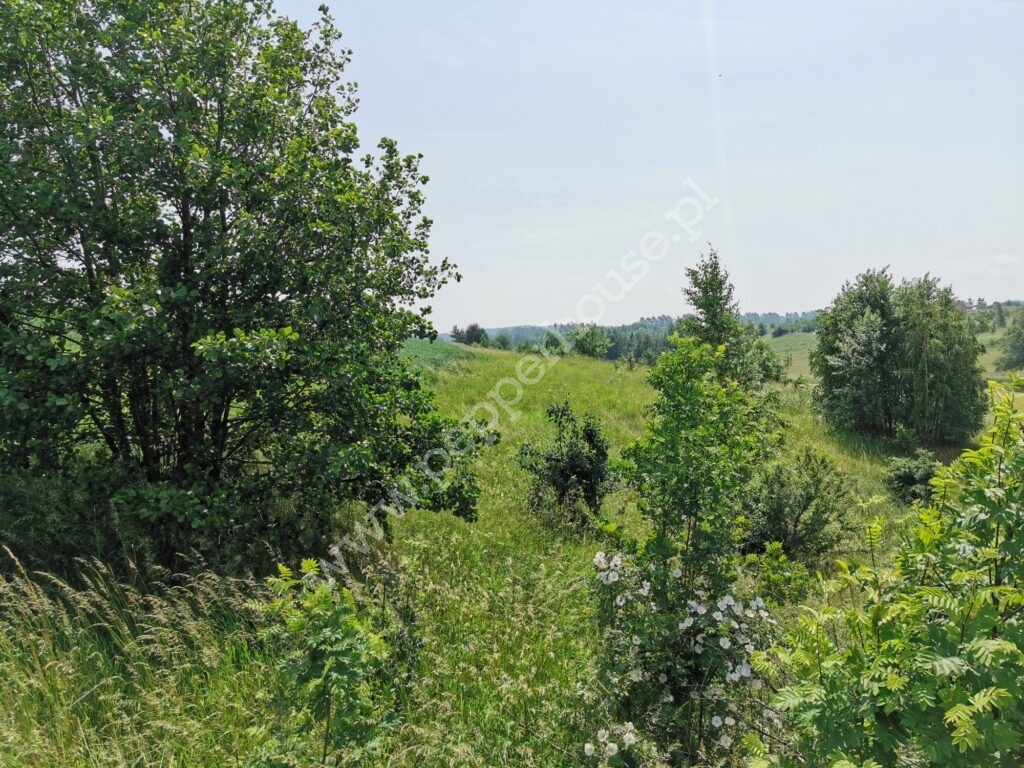 , pomorskie, Gowino, Kazimierza Grubby - listing photo no. 4