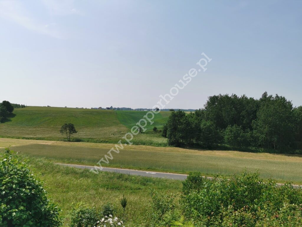 , pomorskie, Gowino, Kazimierza Grubby - listing photo no. 5