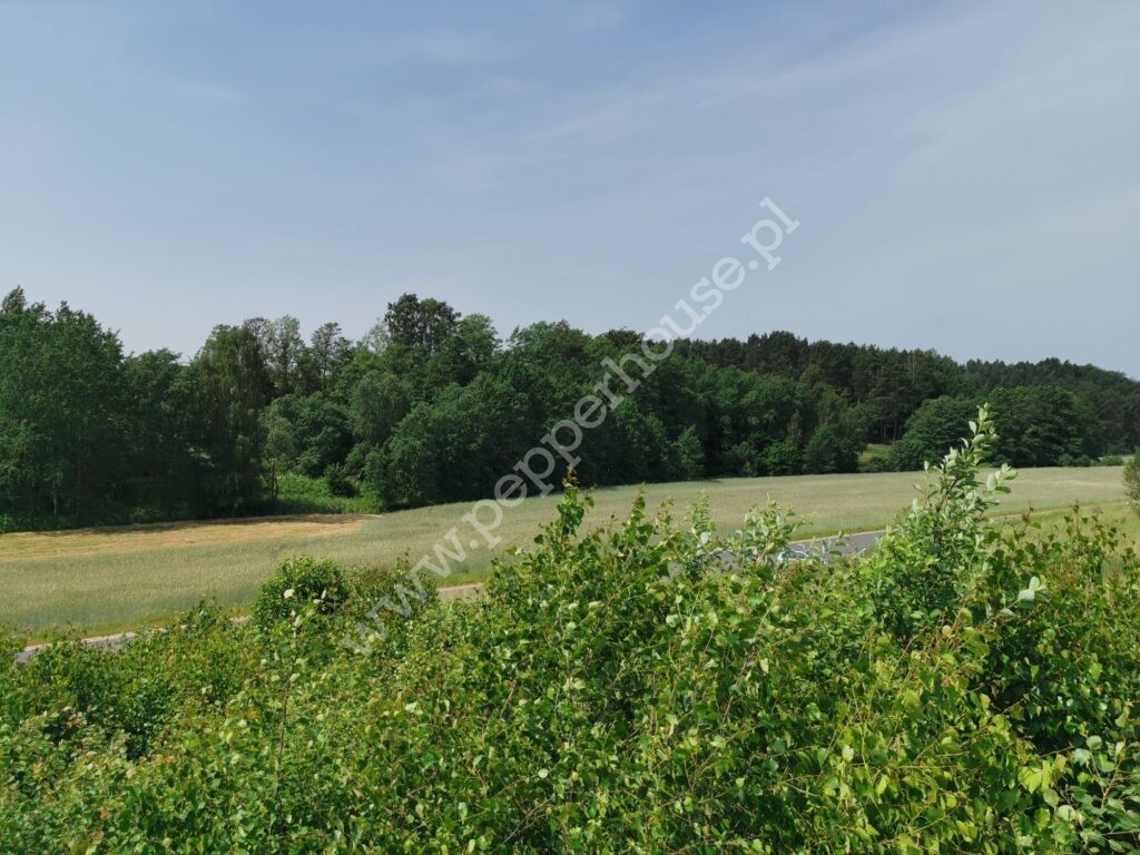 , pomorskie, Gowino, Kazimierza Grubby - listing photo no. 6