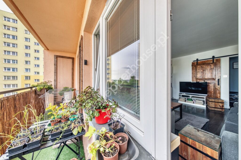 , kujawsko-pomorskie, Bydgoszcz, Wzgórze Wolności - listing photo no. 9