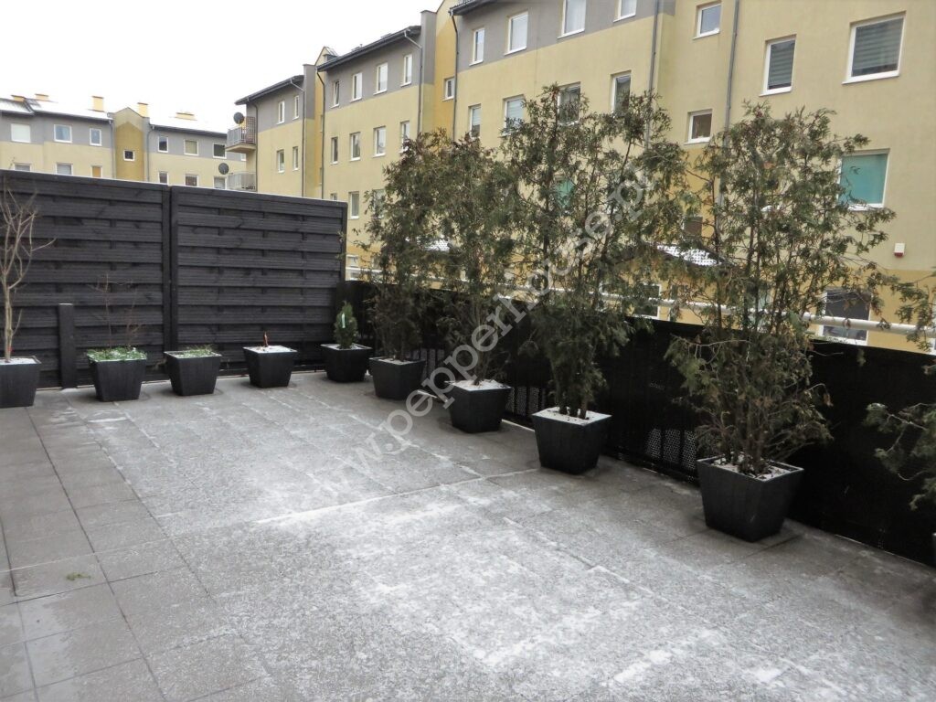 , pomorskie, Reda, Obwodowa - listing photo no. 3