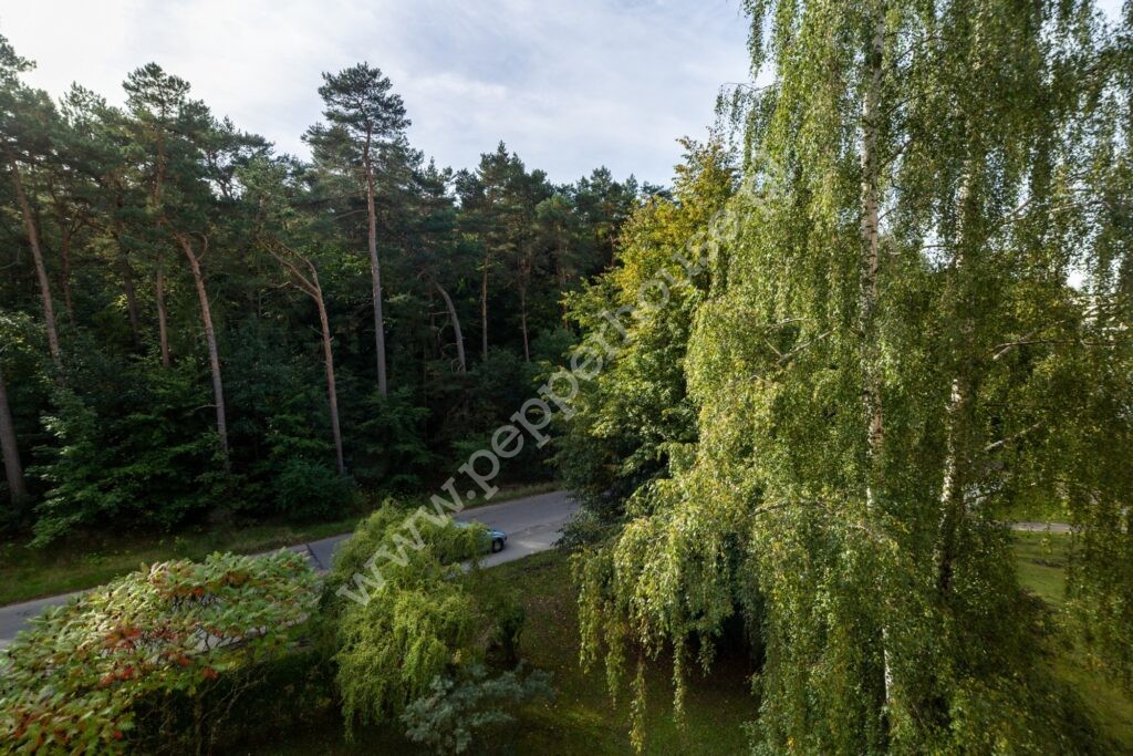 , Gdynia, Pustki Cisowskie-Demptowo, Borowikowa - listing photo no. 18
