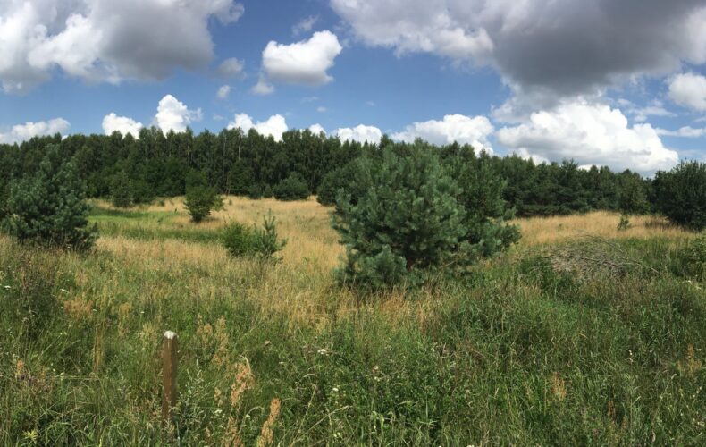 Działka na sprzedaż, pomorskie, Obozin
