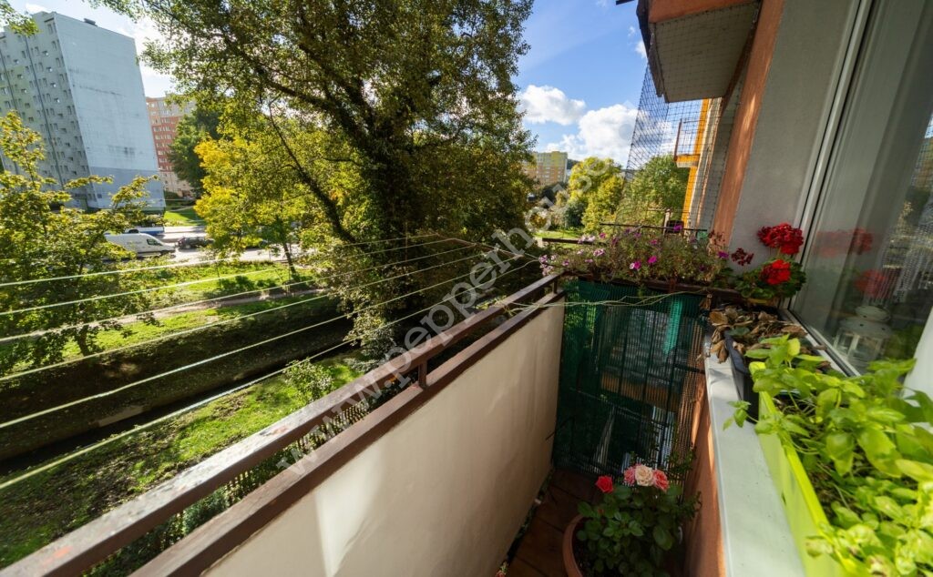 Mieszkanie na sprzedaż, Gdynia, Cisowa, Kcyńska - zdjęcie ofertowe nr 11