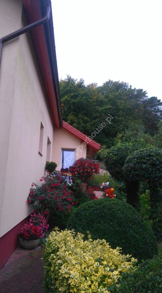 Dom na sprzedaż, pomorskie, Sopot, Okrężna - zdjęcie ofertowe nr 28