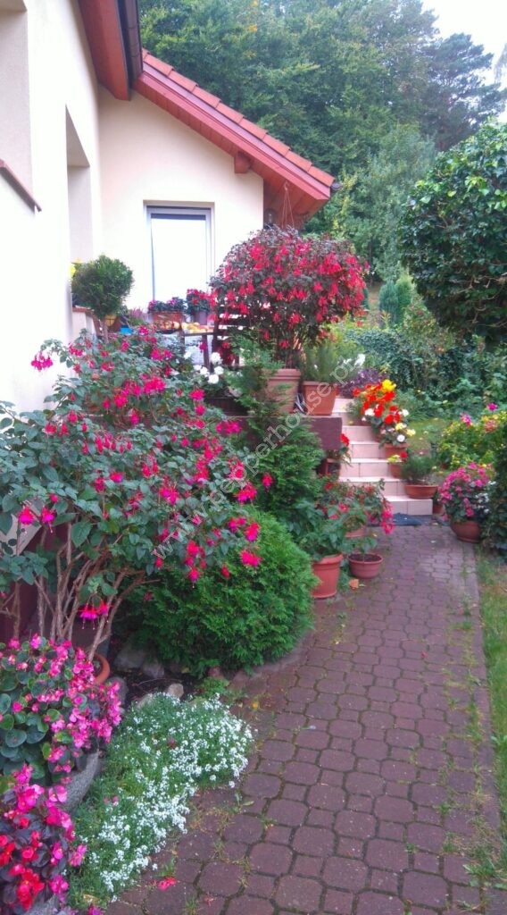 Dom na sprzedaż, pomorskie, Sopot, Okrężna - zdjęcie ofertowe nr 29