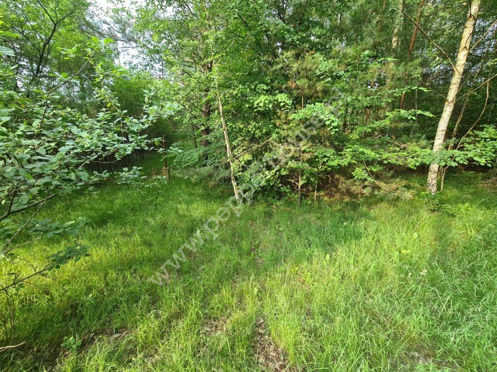 , Gdynia, Chwarzno-Wiczlino, Wiczlińska - listing photo no. 1