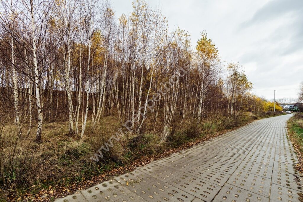 , Gdańsk, Kokoszki, Grzybowa - listing photo no. 7