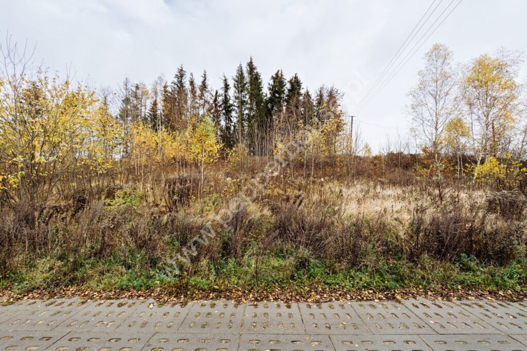 , Gdańsk, Kokoszki, Grzybowa - listing photo no. 8